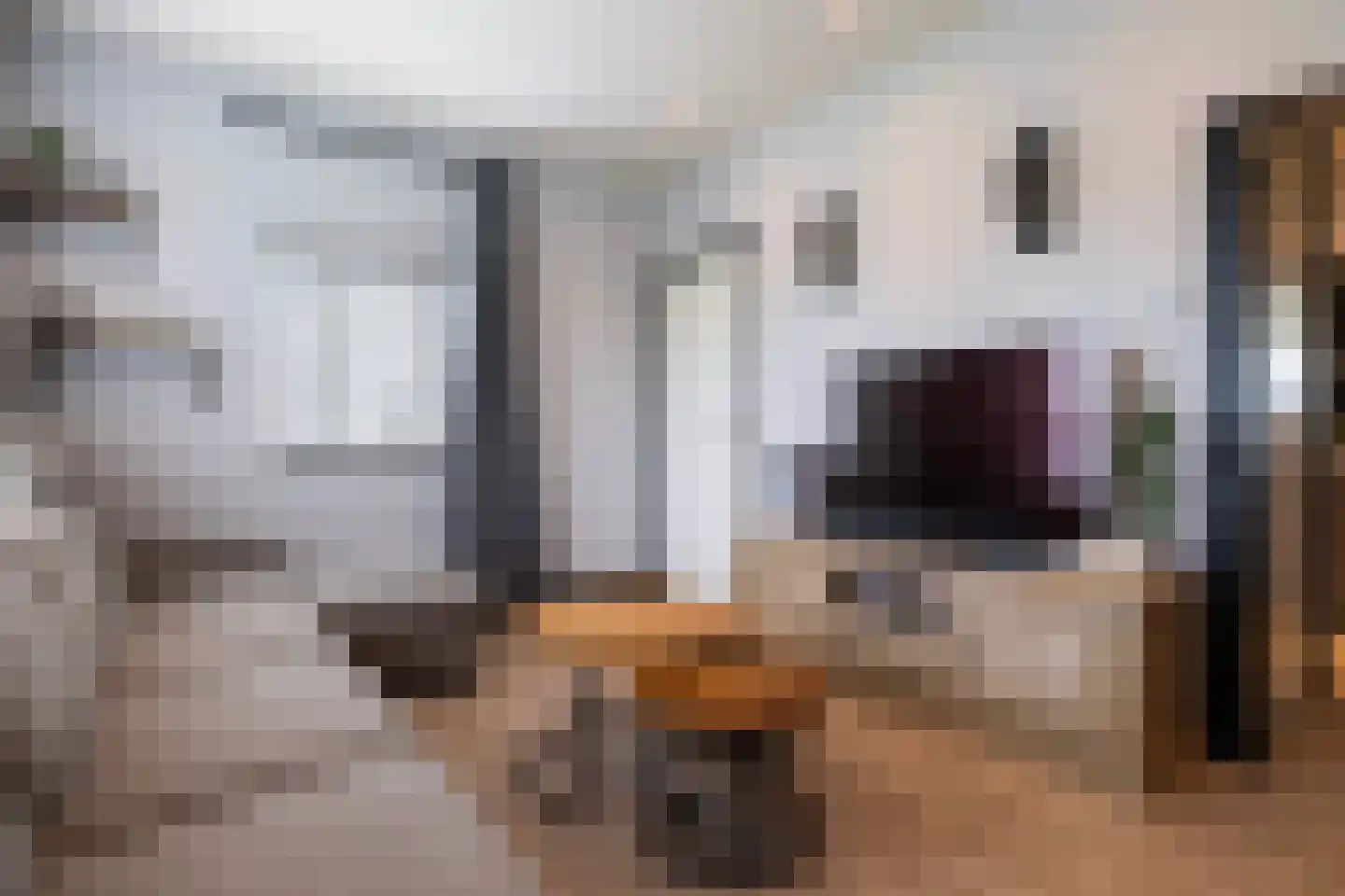 Julianalaan 50 Schoonebeek thumbnail 14