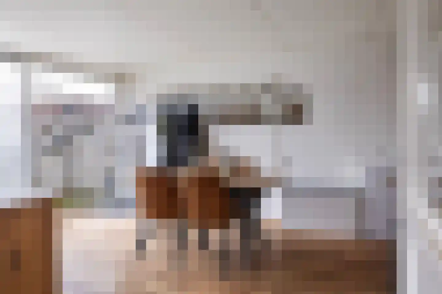 Julianalaan 50 Schoonebeek thumbnail 19