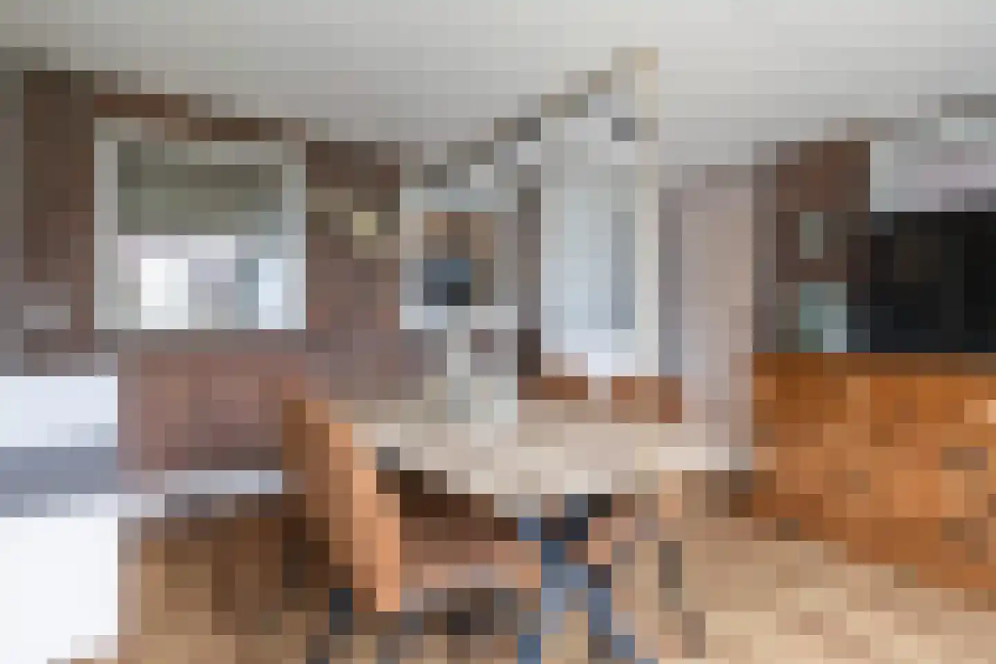 Julianalaan 50 Schoonebeek thumbnail 20
