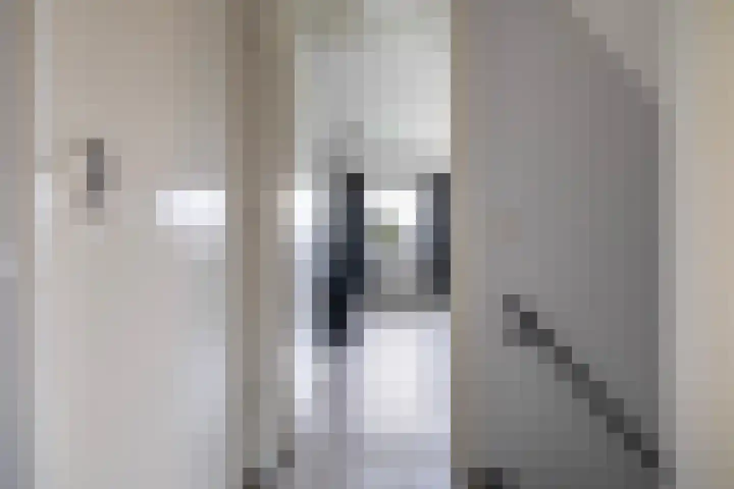 Julianalaan 50 Schoonebeek thumbnail 21