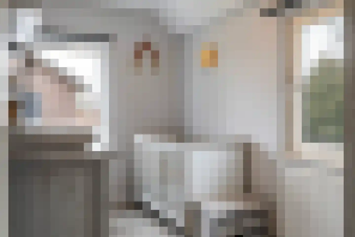 Julianalaan 50 Schoonebeek thumbnail 27