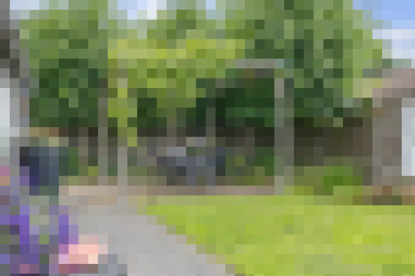 Julianalaan 50 Schoonebeek thumbnail 29