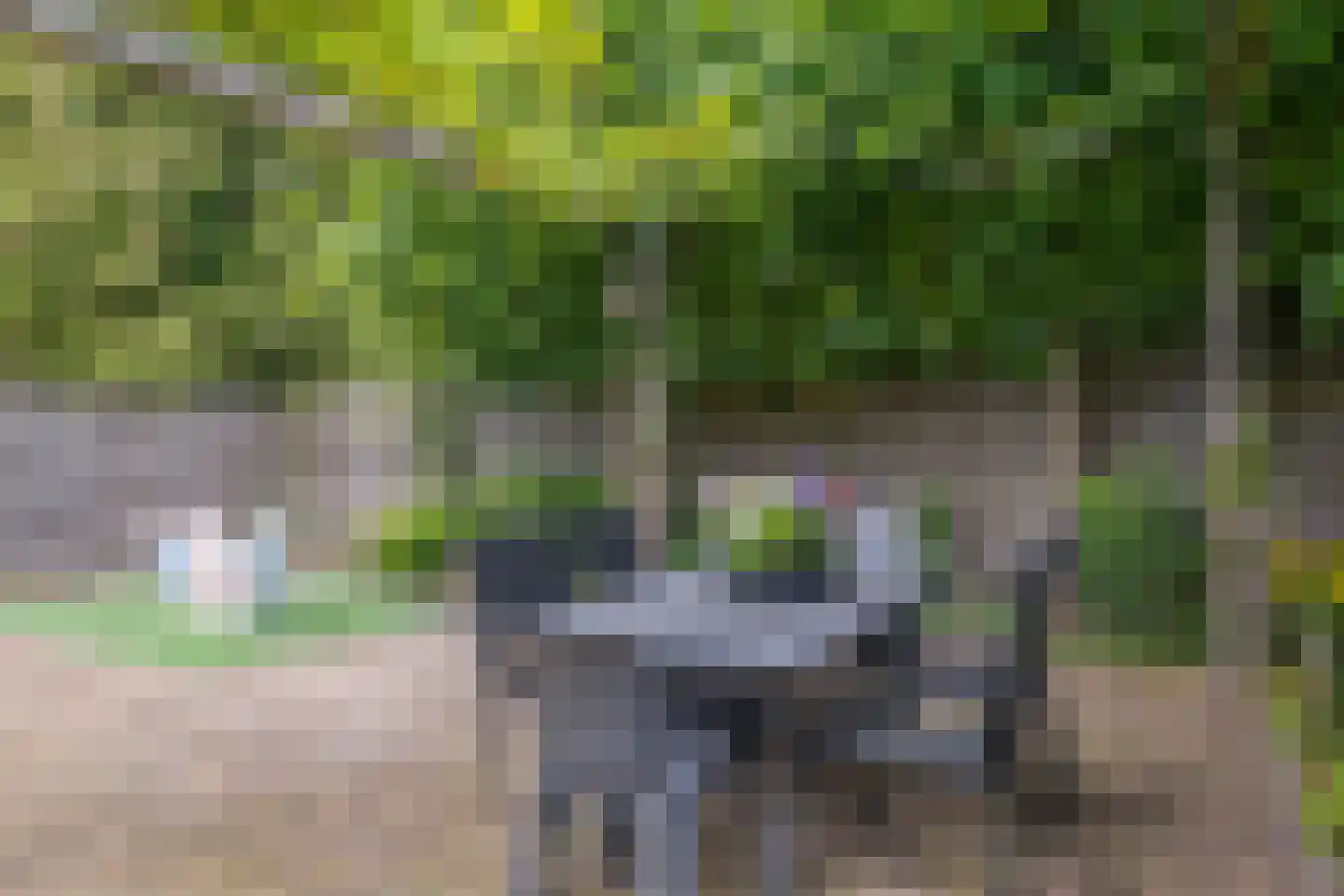 Julianalaan 50 Schoonebeek thumbnail 30