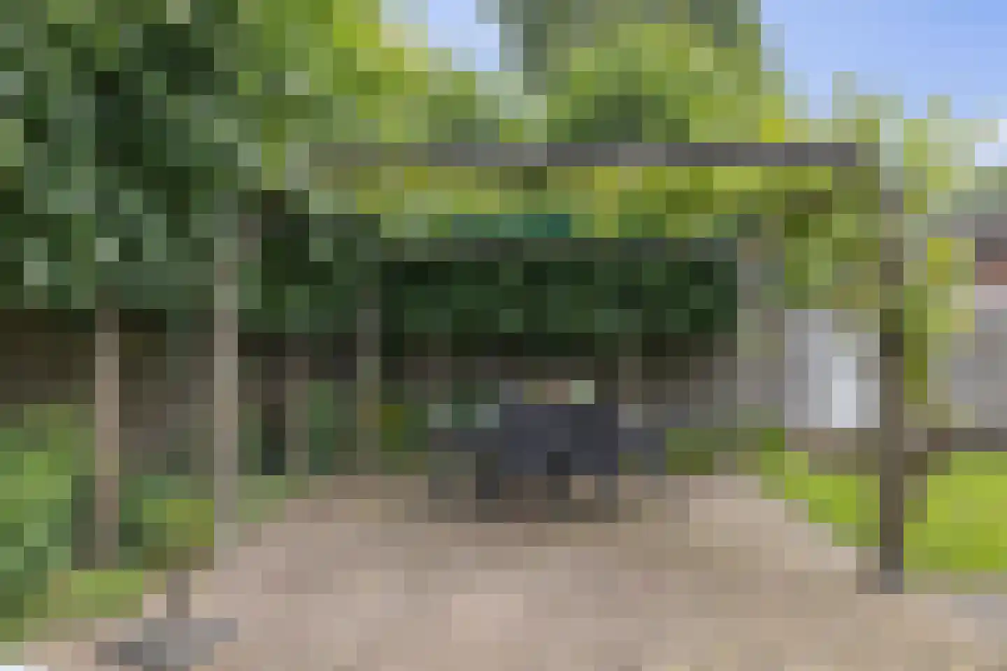Julianalaan 50 Schoonebeek thumbnail 32