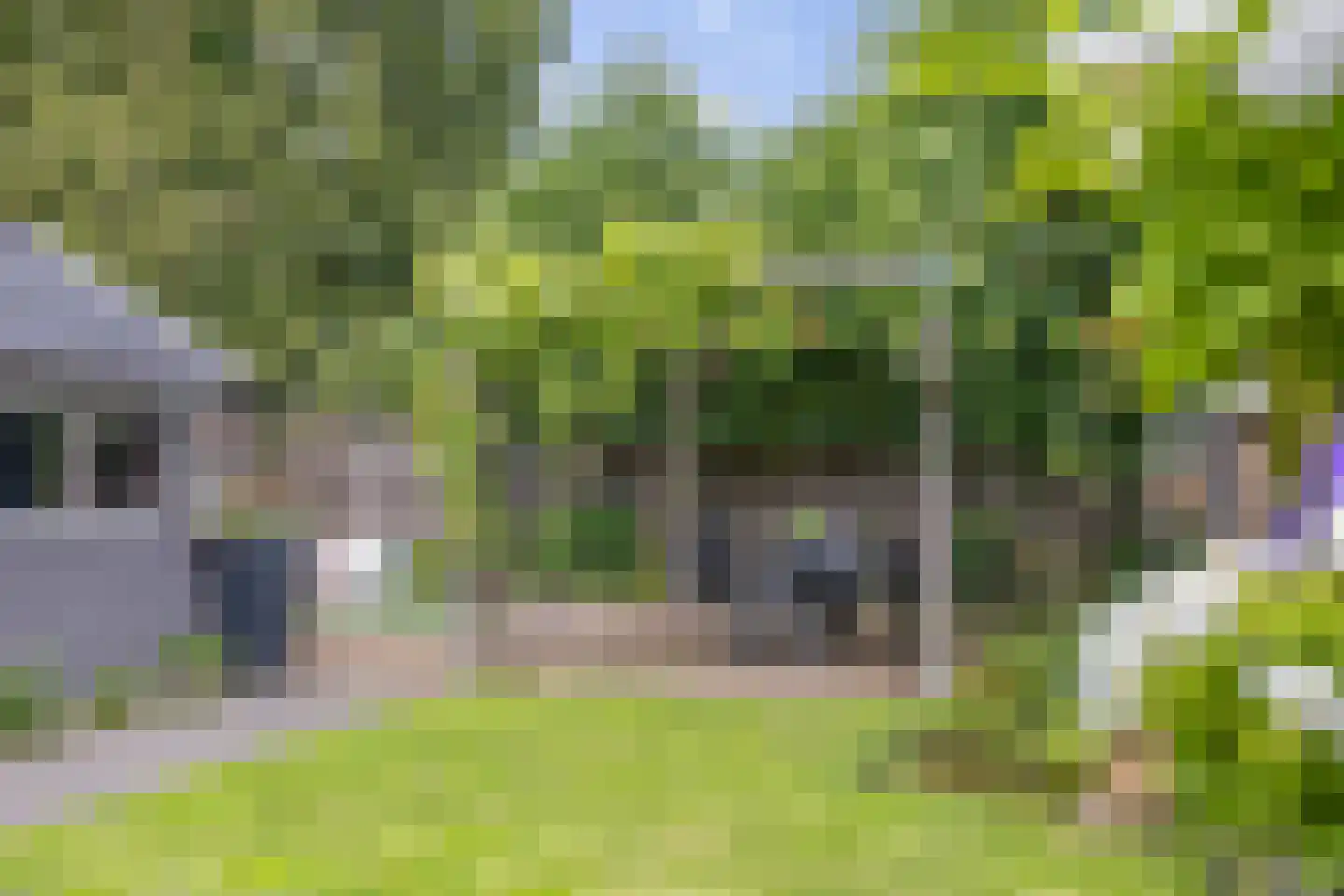 Julianalaan 50 Schoonebeek thumbnail 33