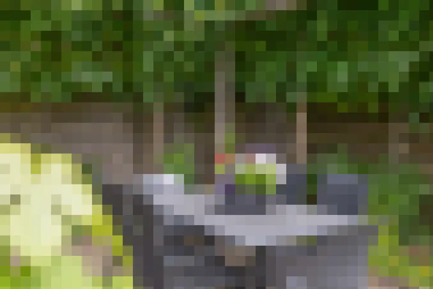 Julianalaan 50 Schoonebeek thumbnail 34