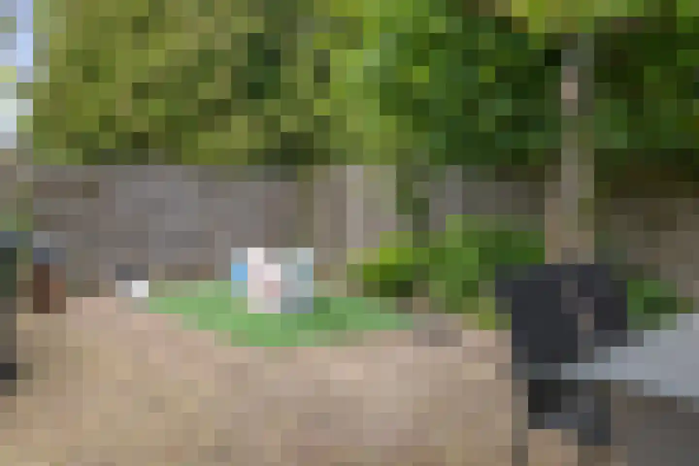 Julianalaan 50 Schoonebeek thumbnail 35