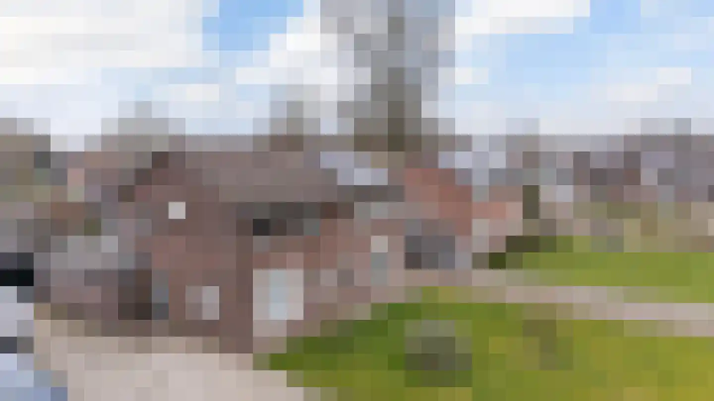 Julianalaan 50 Schoonebeek thumbnail 39