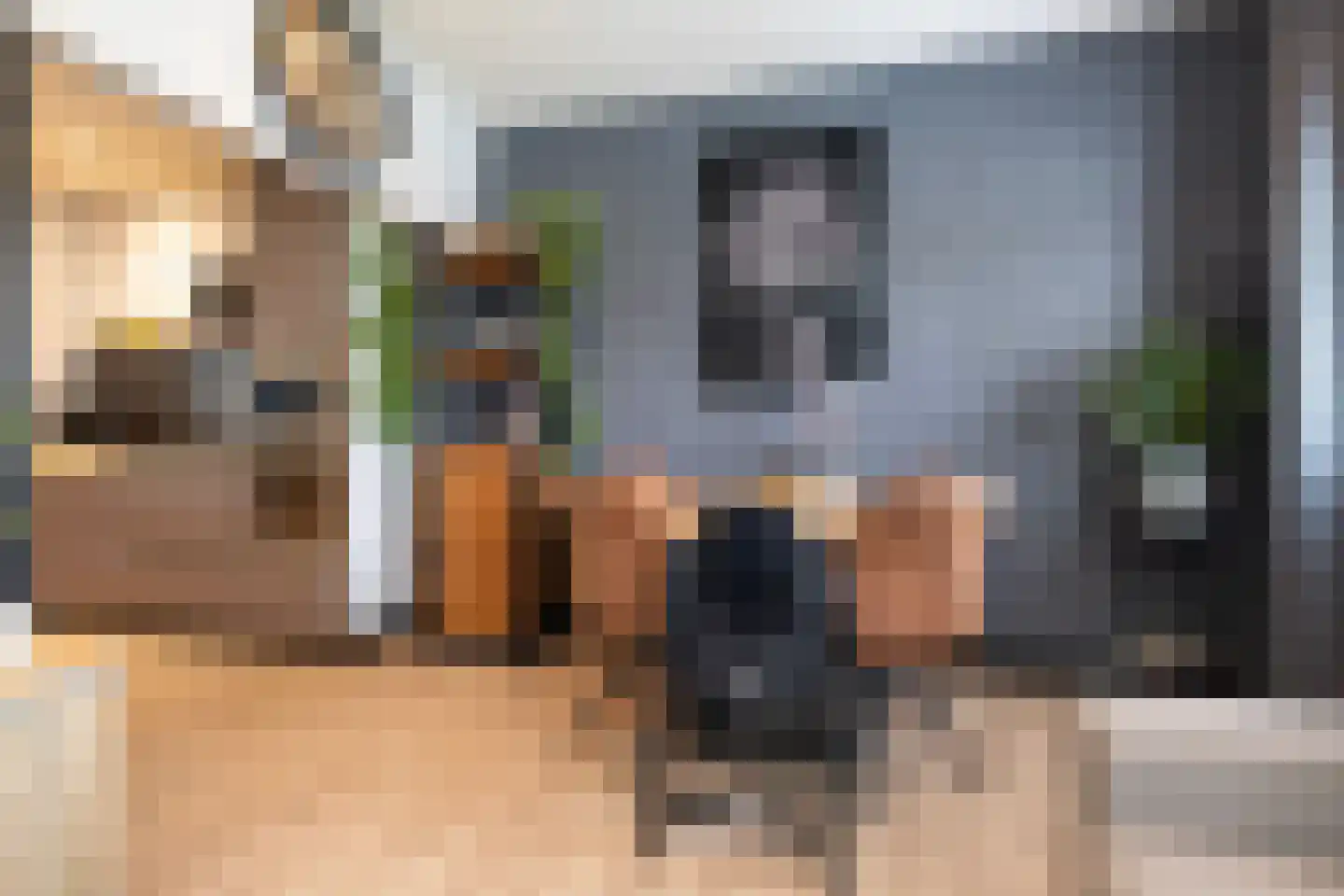 Julianalaan 50 Schoonebeek thumbnail 4