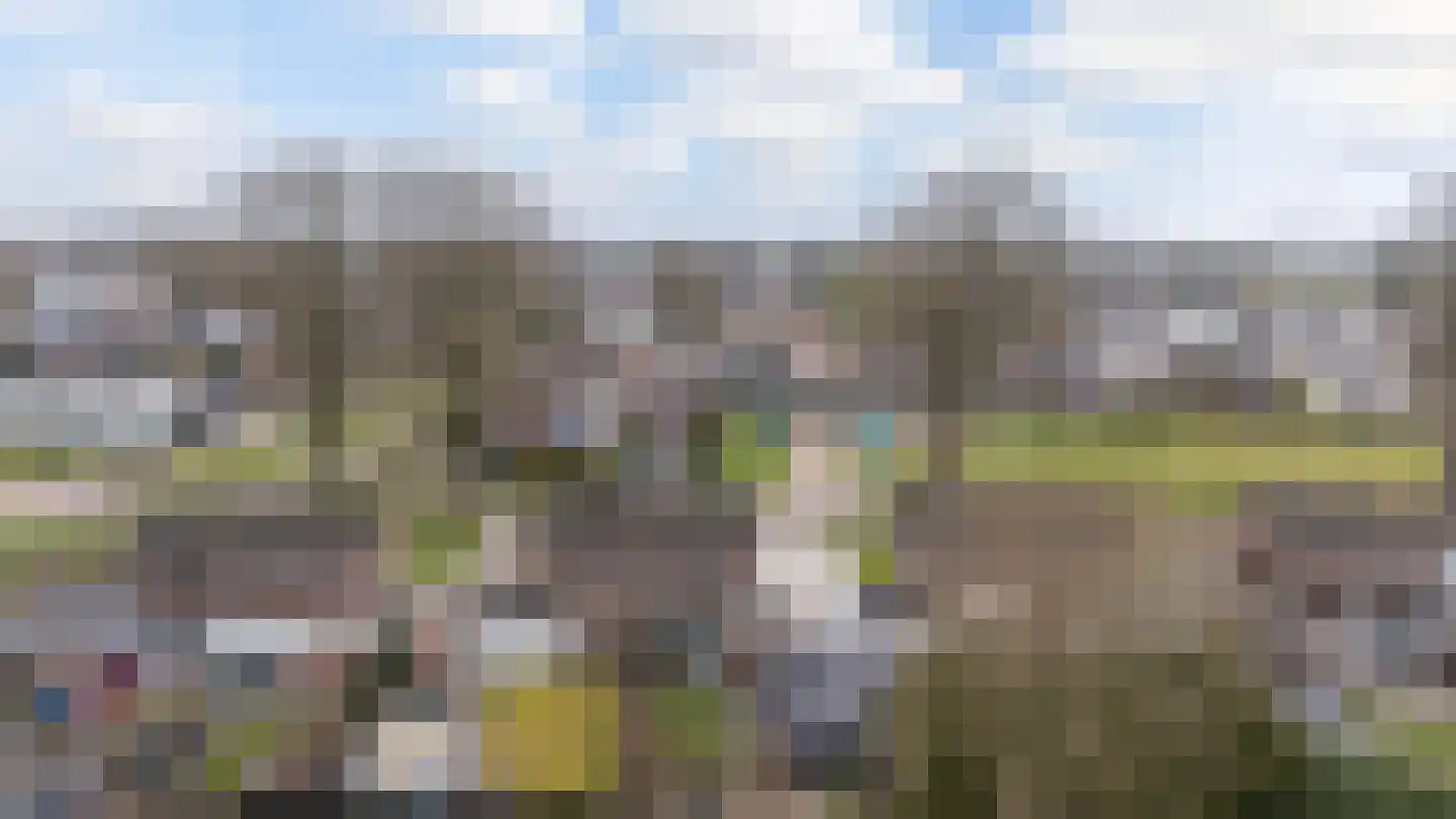 Julianalaan 50 Schoonebeek thumbnail 40