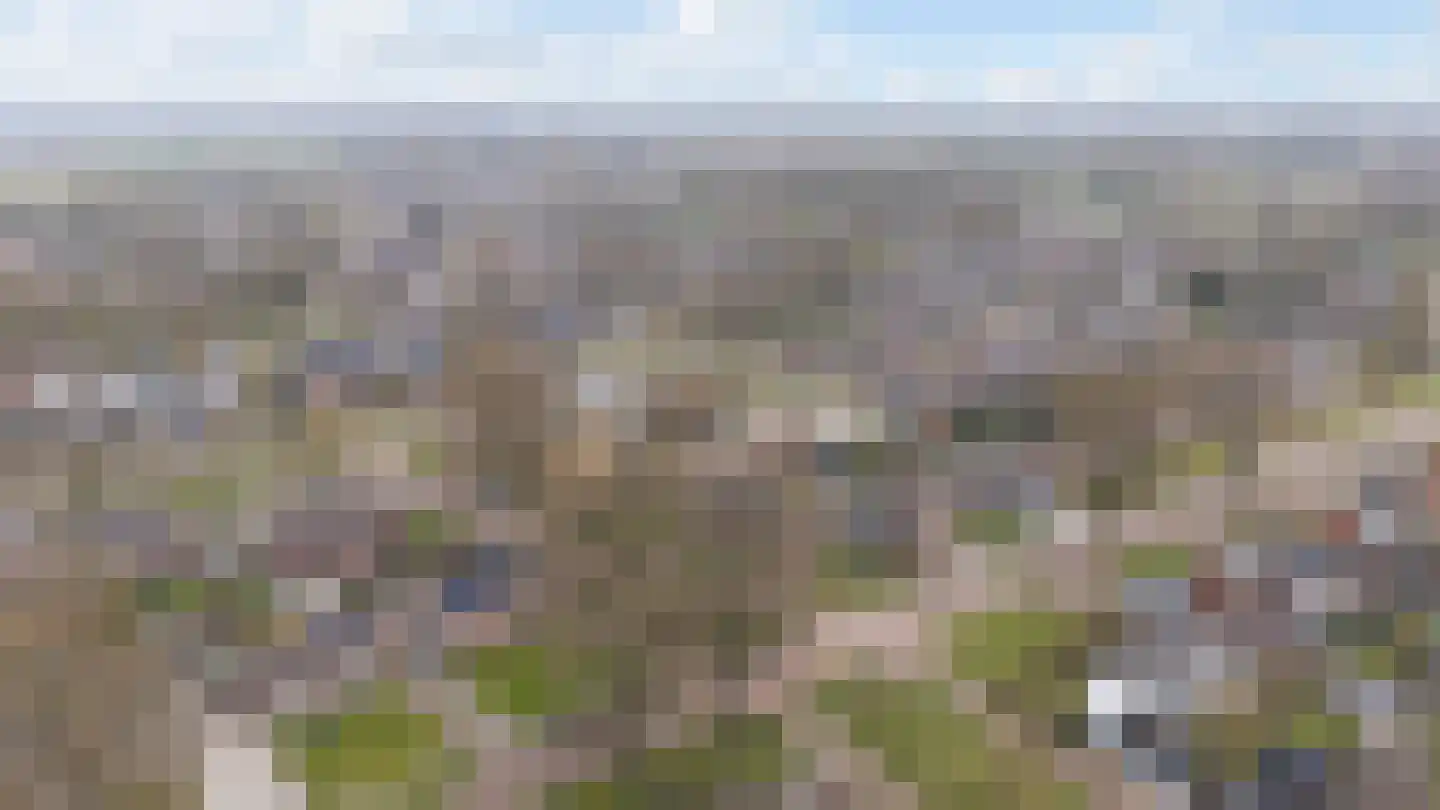 Julianalaan 50 Schoonebeek thumbnail 42
