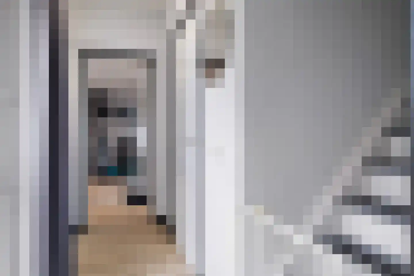 Julianalaan 50 Schoonebeek thumbnail 8