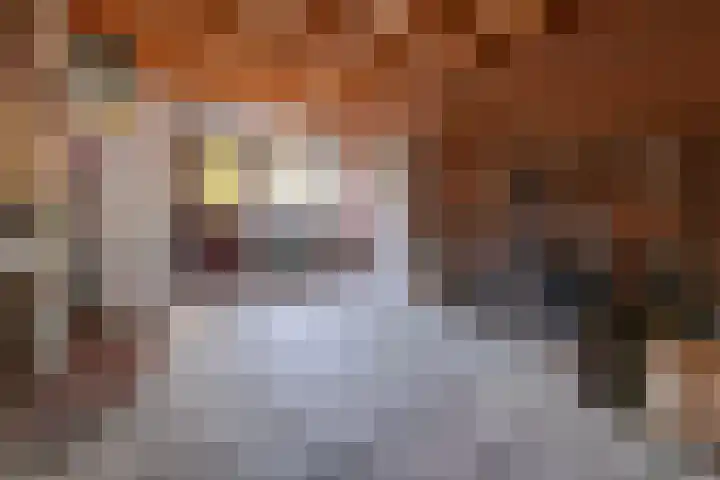 Julianalaan 51 A Zeist thumbnail 15