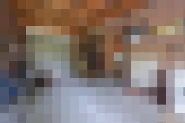 Julianalaan 51 A Zeist thumbnail 16