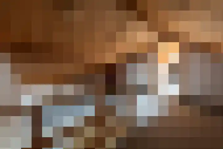 Julianalaan 51 A Zeist thumbnail 19