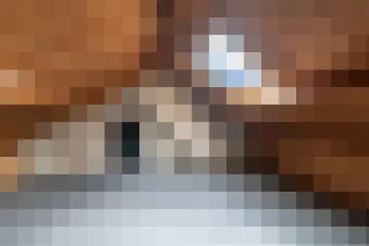 Julianalaan 51 A Zeist thumbnail 20