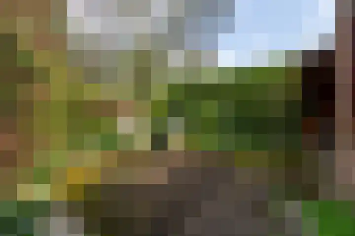 Julianalaan 51 A Zeist thumbnail 23