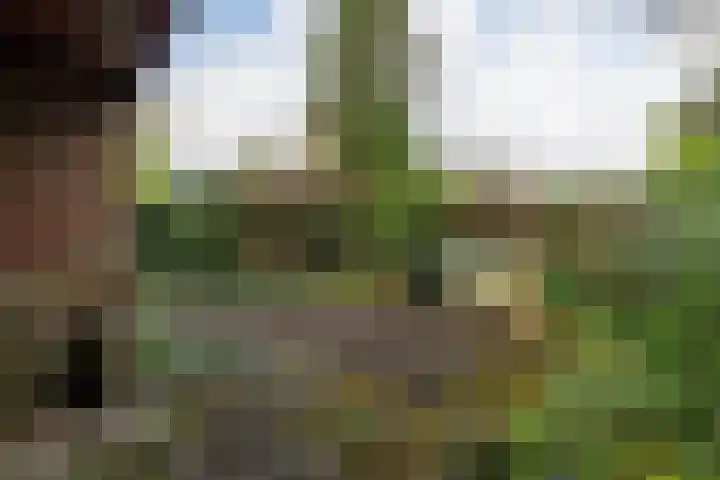 Julianalaan 51 A Zeist thumbnail 24