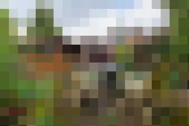 Julianalaan 51 A Zeist thumbnail 25