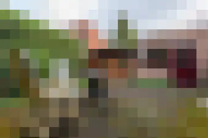 Julianalaan 51 A Zeist thumbnail 26