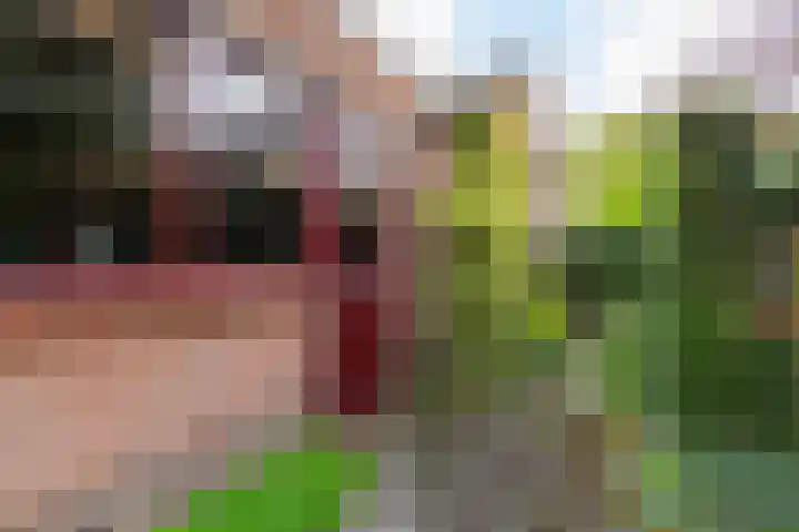 Julianalaan 51 A Zeist thumbnail 27