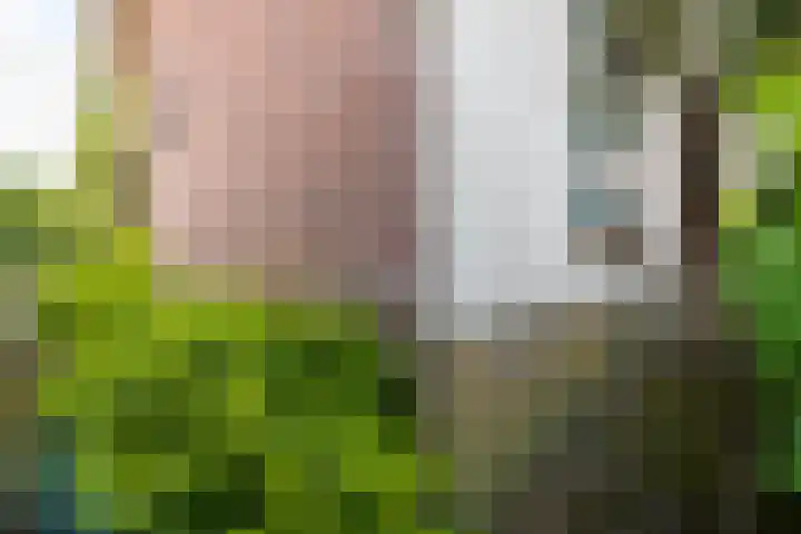 Julianalaan 51 A Zeist thumbnail 28