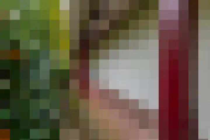Julianalaan 51 A Zeist thumbnail 30