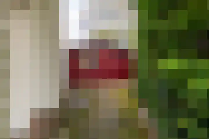 Julianalaan 51 A Zeist thumbnail 31