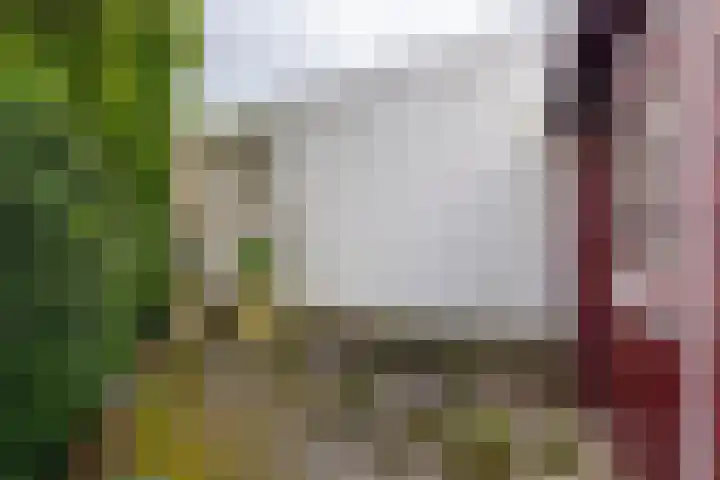 Julianalaan 51 A Zeist thumbnail 32