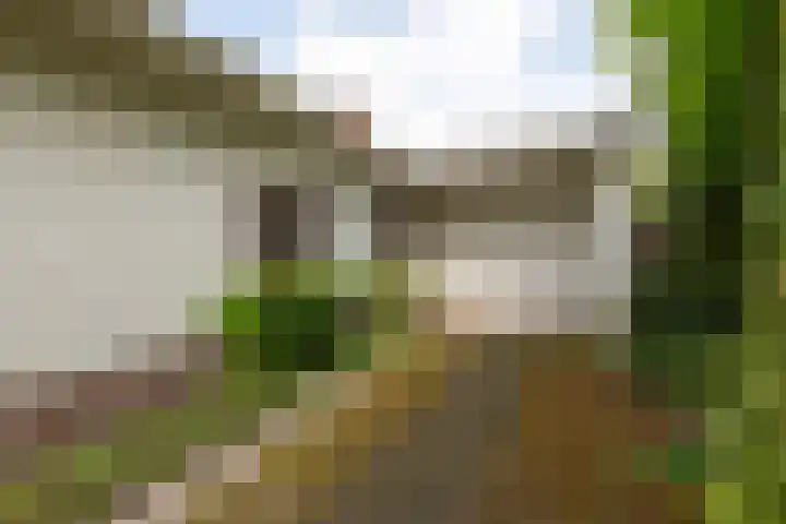 Julianalaan 51 A Zeist thumbnail 33