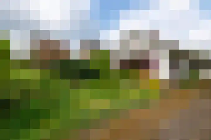 Julianalaan 51 A Zeist thumbnail 34