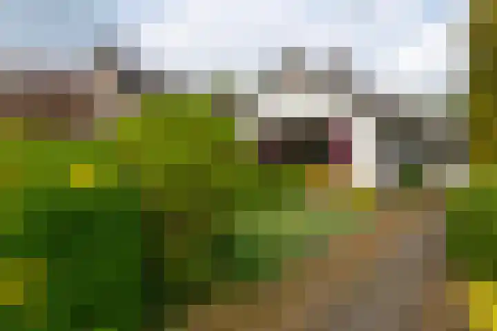Julianalaan 51 A Zeist thumbnail 35