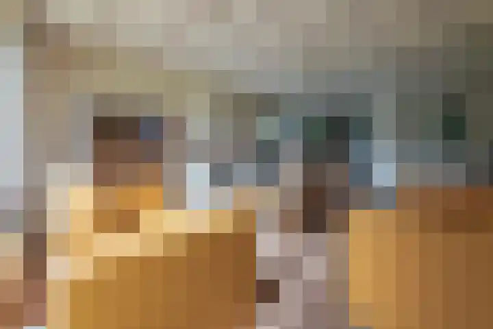 Julianalaan 51 A Zeist thumbnail 4