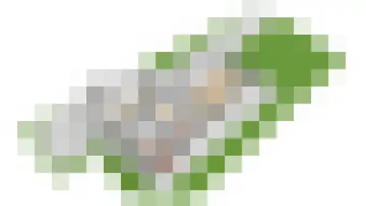 Julianalaan 51 A Zeist thumbnail 42