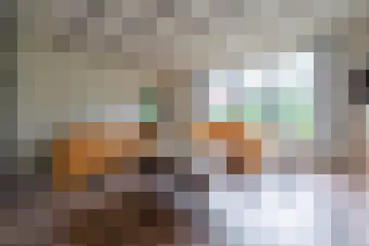 Julianalaan 51 A Zeist thumbnail 7