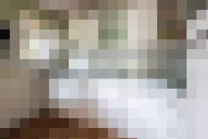 Julianalaan 51 A Zeist thumbnail 9