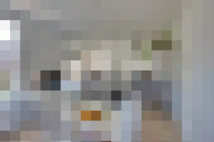 Julianalaan 51 De Rijp thumbnail 19