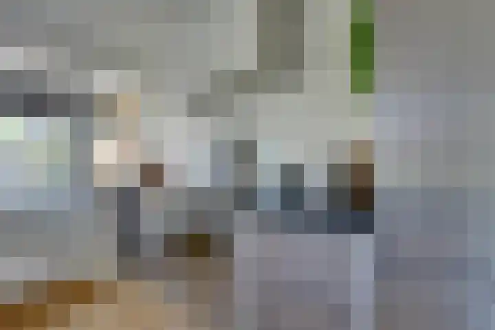 Julianalaan 51 De Rijp thumbnail 20