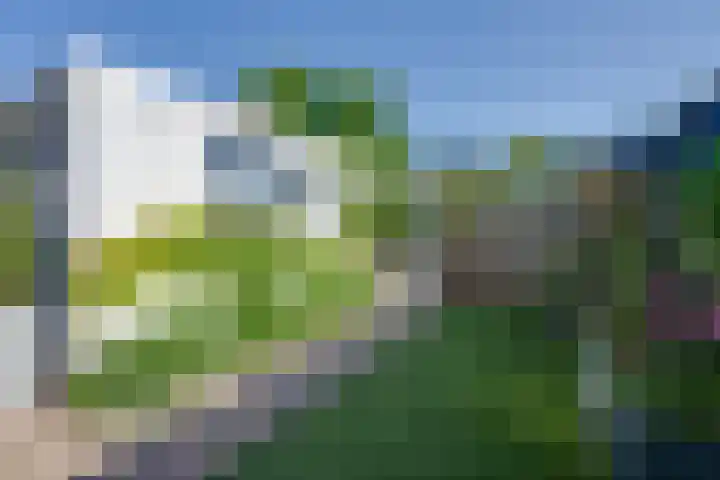 Julianalaan 51 De Rijp thumbnail 22