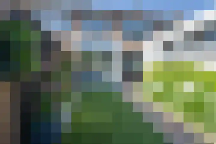 Julianalaan 51 De Rijp thumbnail 23