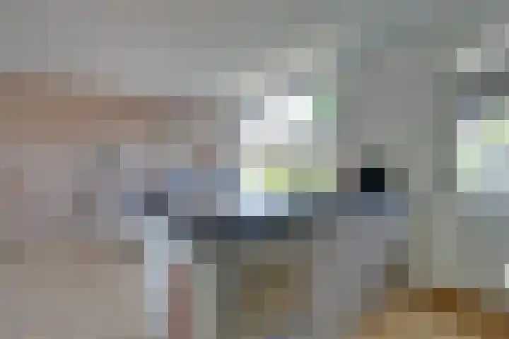 Julianalaan 51 De Rijp thumbnail 26