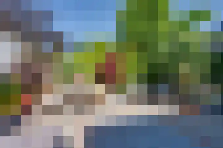 Julianalaan 51 De Rijp thumbnail 33