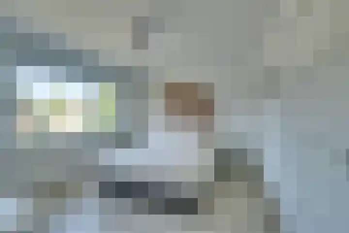 Julianalaan 51 De Rijp thumbnail 35
