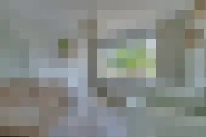 Julianalaan 51 De Rijp thumbnail 37