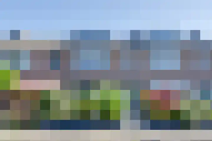 Julianalaan 51 De Rijp thumbnail 4