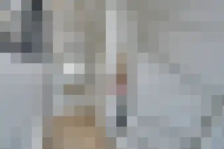 Julianalaan 51 De Rijp thumbnail 8