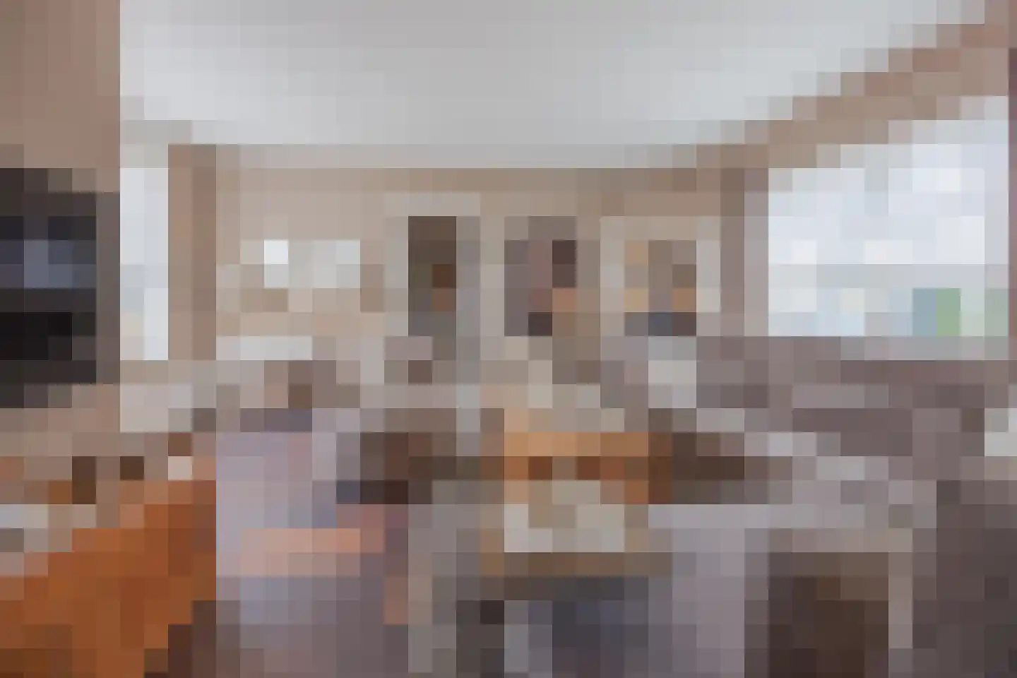 Julianalaan 51 Raamsdonksveer thumbnail 21