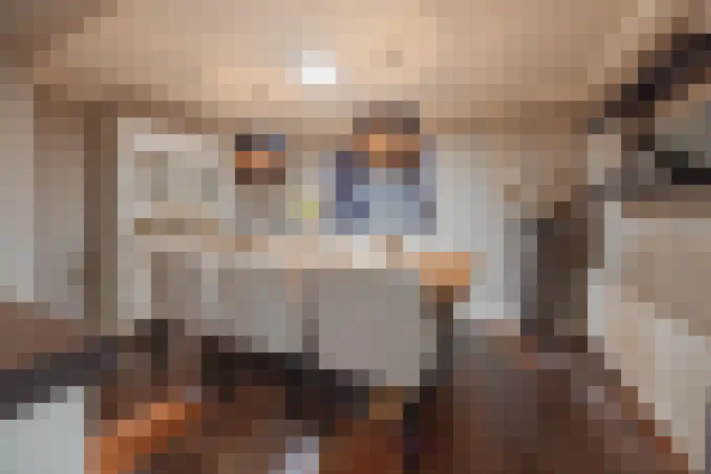 Julianalaan 51 Raamsdonksveer thumbnail 23