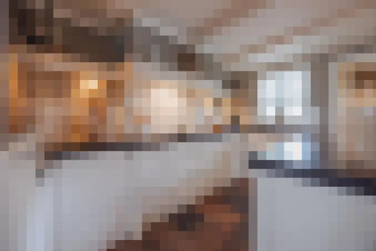 Julianalaan 51 Raamsdonksveer thumbnail 26
