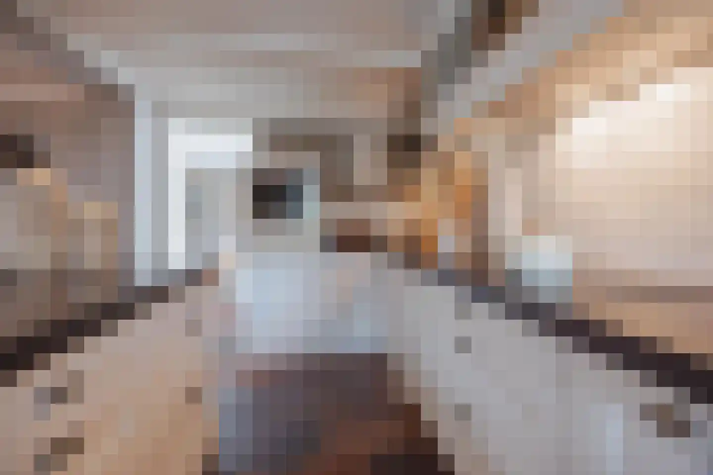 Julianalaan 51 Raamsdonksveer thumbnail 28